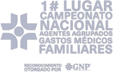 10 PRIMERLUGARAAGMFGNP