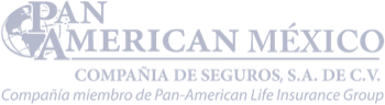 SEGUROS PAN AMERICAN